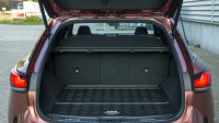 Lexus RX 500h Turbo Hybrid F Sport